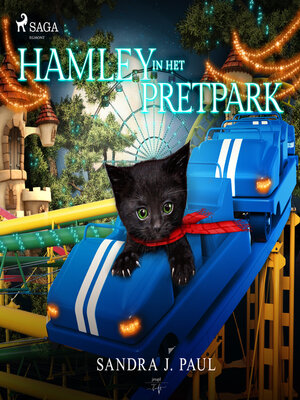 cover image of Hamley in het pretpark